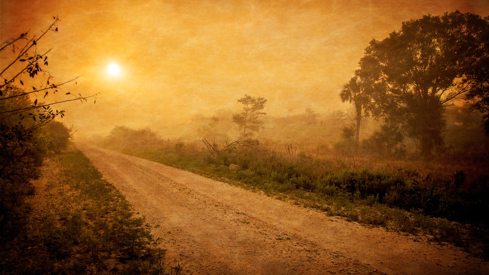 An un-even muddy road passing through the country side during early sun rise